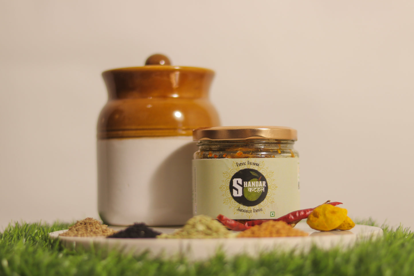 Shandar Kathal (Jackfruit Pickle)
